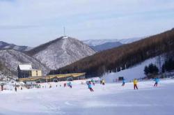 赤峰森海汽配城電話號碼