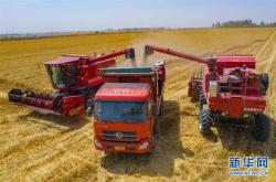 赤峰凱斯收割機銷售電話號碼