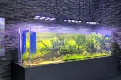 赤峰哪里可以做魚缸