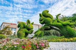 赤峰綠雕安裝電話地址查詢號碼