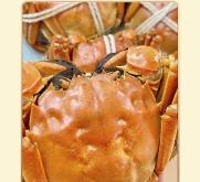 赤峰新鮮海鮮禮盒批發(fā)電話號(hào)碼