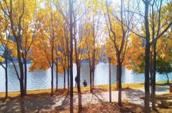 赤峰陽光花園幼兒園電話號碼