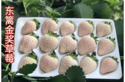 赤峰生禽市場電話多少號