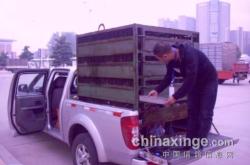 赤峰集火工作室電話號(hào)碼