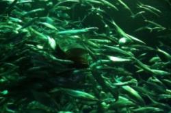 赤峰天虹水族館電話號碼