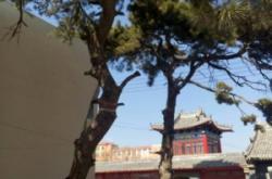 公營子到赤峰客車時(shí)間