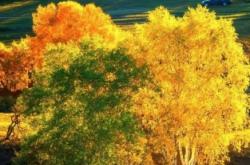 赤峰宿邦老年公寓電話號碼