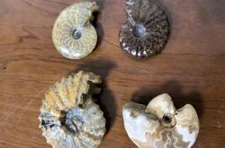 赤峰瓷器藝術(shù)品回收電話號碼