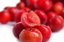 赤峰高紅鈣果基地地址電話號碼