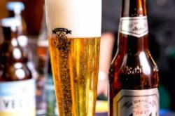 赤峰酒吧電話號碼多少啊