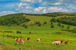 赤峰北極星籃球公園電話號碼