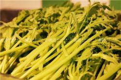 赤峰美團(tuán)美團(tuán)客服電話號(hào)碼