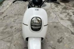 赤峰小綿羊電動(dòng)車電話號(hào)碼