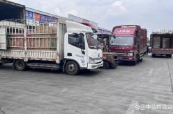 赤峰發(fā)往河南的物流電話號碼