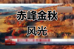 赤峰森瀾商貿(mào)有限公司電話號碼