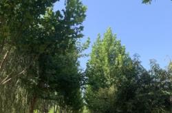 赤峰松山區(qū)遛狗地點電話號碼