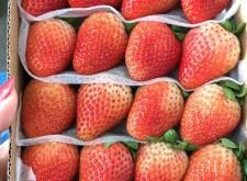 赤峰真金板批發(fā)商電話號(hào)碼