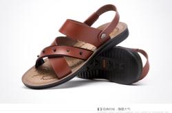 赤峰富貴鳥(niǎo)