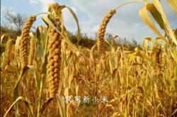 赤峰市區(qū)黃金維修店電話號(hào)碼