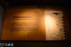 赤峰送車(chē)七夕電話地址查詢