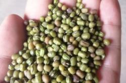 赤峰豆類加工廠電話多少號(hào)