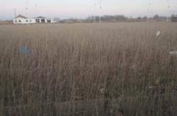 赤峰互惠養(yǎng)殖場電話多少號