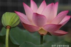 赤峰狗肉飯店電話號碼多少號