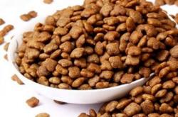 赤峰繁育貓舍地址電話查詢號碼