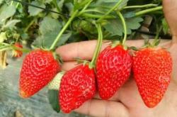 赤峰泡泡水批發(fā)廠家電話號碼