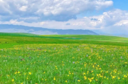 赤峰神韻畫室電話多少號碼