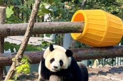 赤峰萌動動物園電話號碼