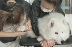 赤峰美容師培訓(xùn)學(xué)校電話號碼