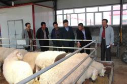 赤峰格致大藥房電話