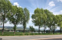 赤峰旗禹德堂醫(yī)院電話號碼