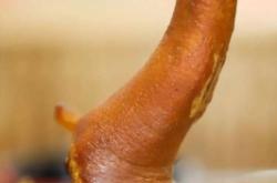 赤峰最新大排檔地址電話號(hào)碼