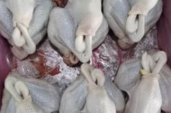 赤峰市敖漢旗水產(chǎn)店電話號(hào)碼