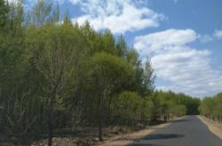 赤峰寧城縣火化場電話號碼