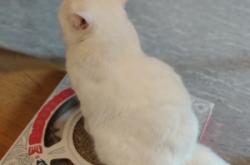 赤峰萬達(dá)動物館電話號碼