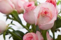 赤峰維西莉亞美容院電話號(hào)碼