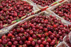 赤峰車?yán)遄拥赇侂娫捥柎a查詢