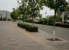 赤峰巴林左旗擦玻璃電話是多少