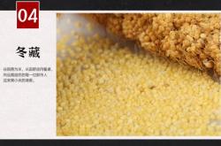 赤峰佰分佰美發(fā)電話號碼