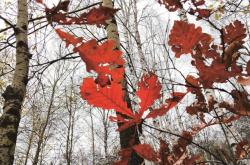 赤峰乾御興銷售處電話號(hào)碼