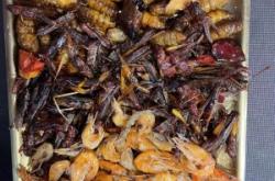 赤峰賣炸蜂蛹的店鋪電話號碼