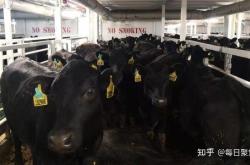 赤峰肉牛檢疫站電話地址查詢