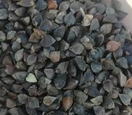 赤峰橋北蕎麥?zhǔn)召忞娫捥柎a