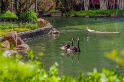 赤峰恒大郡庭物業(yè)電話號(hào)碼