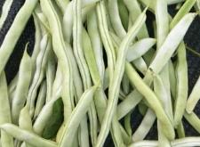 赤峰菜盆批發(fā)市場電話號碼