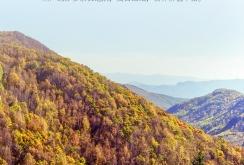 赤峰上門收購中藥材電話