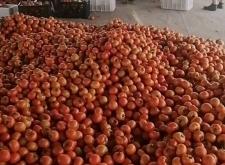 赤峰達利面包店電話號碼